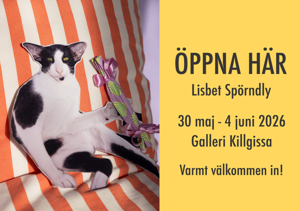 Gatupratare med collage vivant-bild av en katt som håller ett paket, inbjudan till utställningen Öppna här